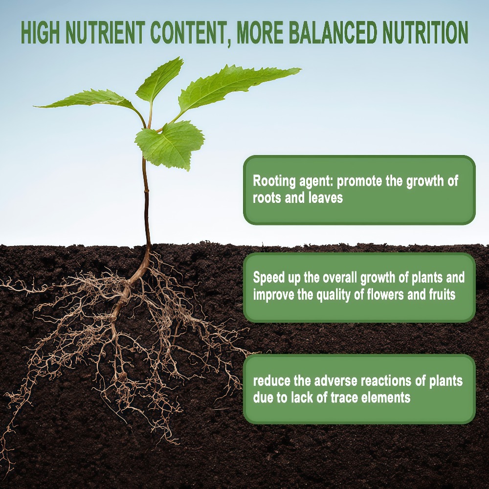 Nutrição para Enraizamento Ráp - Roots Nutrition & Fitness Inglewood Photos avaliação e preço